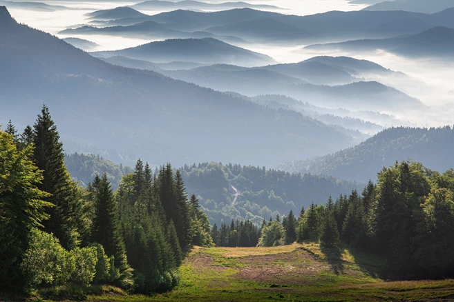Bosnian hills