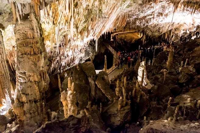 Postojna caves