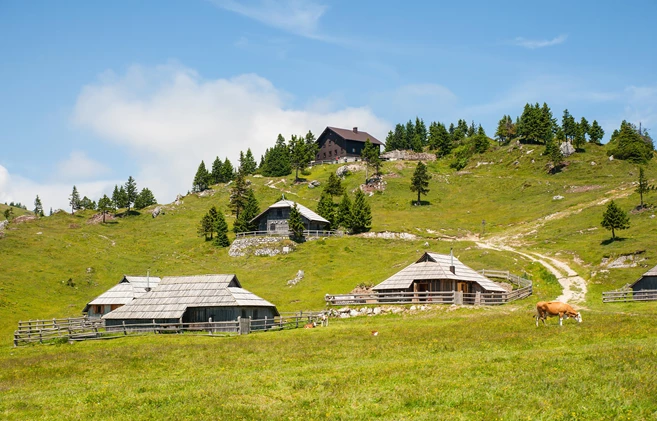 Velika Planina