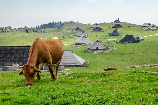 Velika Planina, Slovenia