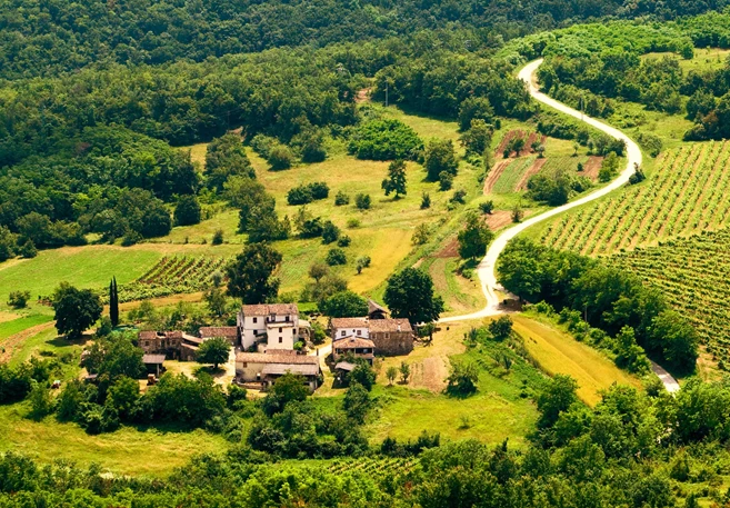 Motovun