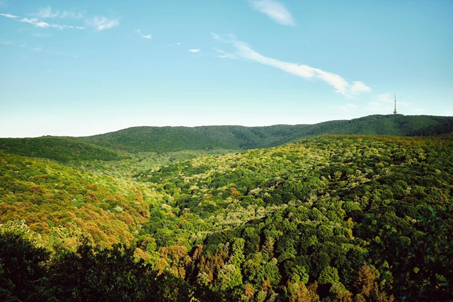 Fruska Gora National Park