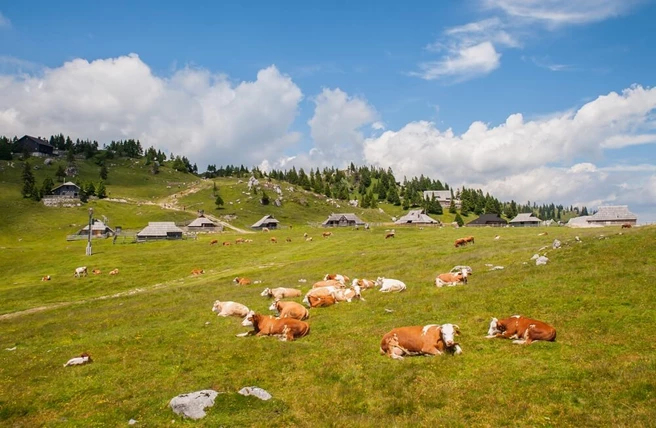 Velika Planina Eslovenia