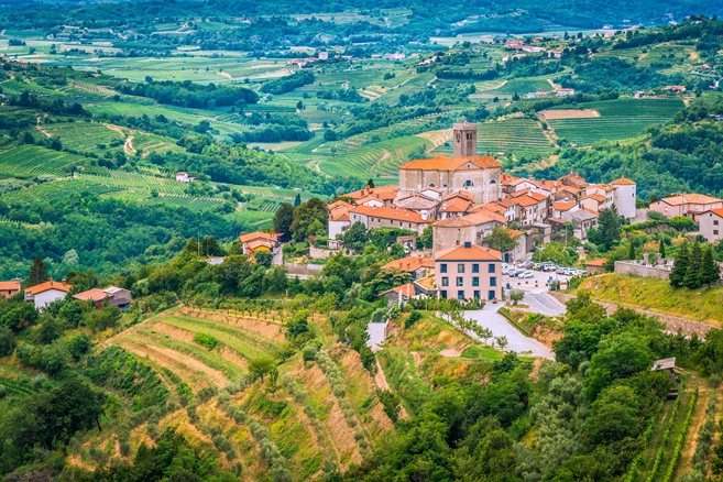 Vipava