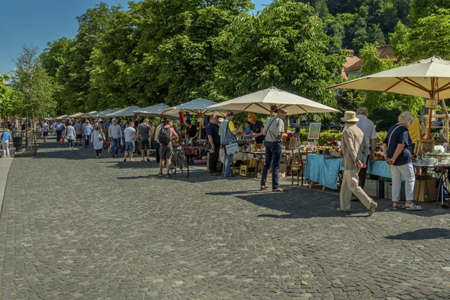 Take a stroll alongisde the bank of Ljubljanica River