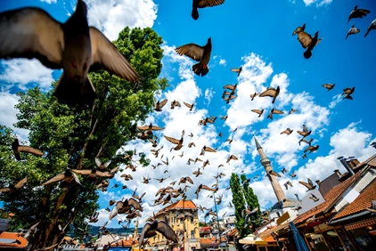 Old square with flying pigeons in Sarajevo city center