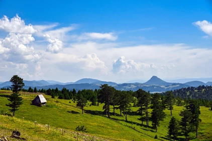 Wooden farm houses in scenic landscape, Zlatibor