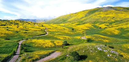 La Majestuosa Macedonia